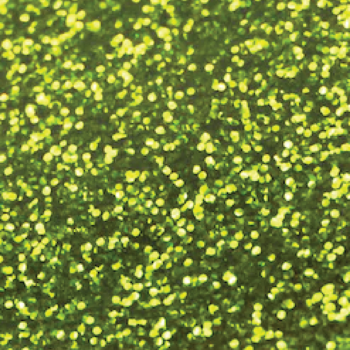 Photobooth Frame Magnet Decoration - MADE TO ORDER